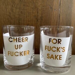 Chez Gange “For F’s Sake” and “Cheer Up F-er” Highball Barware glasses